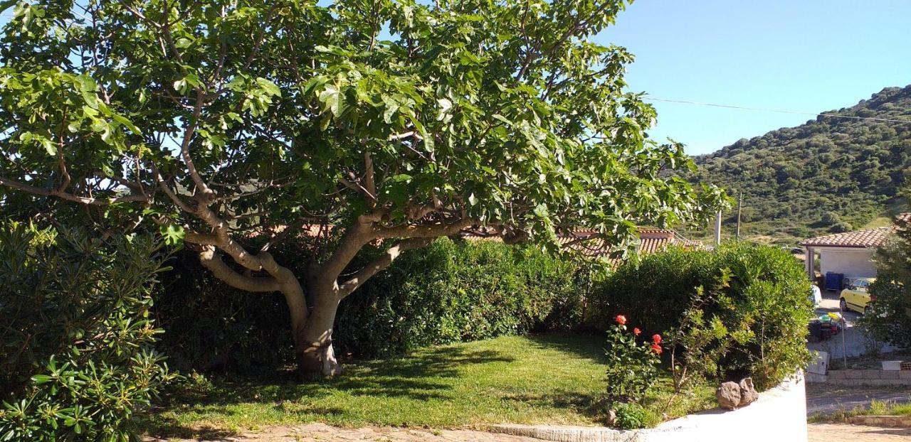 Casa Orvile San Lorenzo  Exterior foto